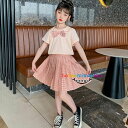 韓国子供服 女の子 夏服 学院風 スウィート スカートセット 通園着 通学着 キッズ セットアップ 女の子 上下セット おしゃれ フォーマル 発表会 演奏会 音楽会 綿 子供 ガールズ 夏 新品 ピンク 半袖 チェック柄 イベント 誕生日 結婚式 110 120 130 140 150 160