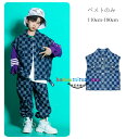 ダンス衣装 キッズ hiphop K-pop 舞台 団体服 演出服 デニムベスト チェック柄 女の子 男の子 ダンスウェア チェック柄 アウター デニムベスト ゆったり ステージ衣装 jazz 演出 原宿系 ダンス衣装 男女兼用 110cm 120cm 130cm 140cm 150cm 160cm 170cm 180cm