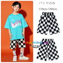 ダンス衣装 チェック柄パンツ 半ズボン、ハーフパンツ 男の子 女の子 ダンスパンツ 舞台 団体服 演出服 運動着 キッズダンス ボトムス カジュアル パンツ ショートパンツ チェック柄 原宿系 普段着も楽ちん ショーツ ダンス 110 120 130 140 150 160 170 180