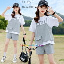 韓国子供服 女の子 セットアップ レジャー 夏服 グレー 上下セット キッズ スポーツウェア 半袖Tシャツ+ショートパンツ 2点セット 普段着 通学着 運動着 小学生 パンツセット アンサンブル トップス 着心地良い 旅行 お出かけ 遠足 夏着 大人気 110 120 130 140 150 160 170