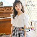 韓国子供服 女の子 シャツブラウス おしゃれ 夏服 2023 新作 キッズ 白いシャツ 半袖 ブラウス お姫様 Vネック レース シャツ ガールズ スウィート ブラウス 誕生日 結婚式 夏着 小学生 トップス ブラウス ホワイト 通学着 同窓会 撮影写真 120 130 140 150 160 165