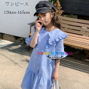 韓国子供服 女の子 ワンピース ブルー チェック柄 ワンピース 学院風 キッズ 半袖 ワンピース かわいい ラペル 膝丈 ワンピース 学生 通学着 発表会 普段着 ガールズ ワンピー ワンピ 記念日 誕生日 結婚式 夏着 ワンピー 120cm 130cm 140cm 150cm 160cm 165cm(4)