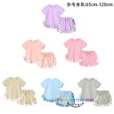 韓国子供服 女の子 セットアップ ベビー服 夏服 レジャー 可愛い 上下セット キッズ 半袖トップス+ショートパンツ 2点セット パープル ピンク ページュ ブ...
