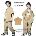 ダンス衣装 半袖 シャツ 男女兼用 トップス キッズダンス ページュ シャツ hiphop K-pop 舞台 団体服 演出服 子供用 カジュアル シャツ 原宿系 体育祭 文化祭 学園祭 無地 夏着 半袖 シャツ ゆったり ファッション 110 120 130 140 150 160 170 180