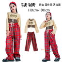 ダンス衣装 女の子 ダンスウェア ヒップホップ hiphop K-pop 舞台 団体服 演出服 キッズダンス 長袖 へそ出し Tシャツ キッズ ダンスパンツ レッド チェック柄パンツ K-POP 韓国 新作 人気 おしゃれ jazz 上下セット キッズ 女の子 ダンス 110 120 130 140 150 160 170 180