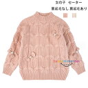 韓国子供服 女の子 セーター 姫系 スウィート冬服 暖かい セーター ページュ ピンク 普段着 通学着 キッズ 厚手 セーター 裏起毛なし 裏起毛あり 秋着 冬着 あたたかい トップス 可愛い おしゃれ 蝶結び 姉妹 双子 プレゼント 子ども服 子ども 110 120 130 140 150 160