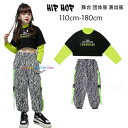 ダンス衣装 セットアップ おしゃれ ダンスウェア 女の子 へそ出し Tシャツ 長袖 トップス ファッション ゼブラ縞柄パンツ hiphop K-pop 舞台 団体服 演出服 原宿系 体育祭 文化祭 学園祭 派手 普段着も楽ちん ガールズ ダンス衣装 新品 新作 110-180