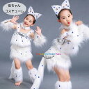 猫 コスプレ ハロウィン コスプレ 子供 動物 仮装 衣装 6点セット キッズ 可愛い ダンス衣装 猫ちゃん コスチューム ハロウィン 衣装 面白い ハロウィン 仮装 子供 着ぐるみ キッズ ハロウィン 衣装 ハロウィン仮装 コスプレ衣装 ハロウィン衣装 ホワイト 白