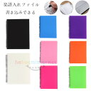 【6%OFFクーポン】楽譜入れファイル 書き込みできる 楽譜入れファイル 20枚(片面10枚) 40枚(片面20枚) 60枚(片面30枚) 中学生 高校生 大学...