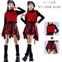 ダンス衣装 女の子 赤 ダンスウエア 舞台 団体服 演出服 セットアップ キッズダンス 黒Tシャツ スパンコールキャミソール 赤スカート チアダンス jazz 発表会 応援団 ラムショー 公演服 練習着 かわいい ブルー ダンス服 子供服 ダンス 110 120 130 140 150 160 170 180