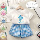 韓国子供服 夏服 セットアップ 女の子 男の子 上下セット キッズ かわいい りんご柄 桃柄 ぶどう柄 ガラス柄 マンゴー柄 セットアップ 子ども服 半袖Tシャツ+ショートパンツ ユニセックス 夏着 ルームウェア 部屋着 パジャマ プレゼント 80 90 100 110 120 130 送料無料