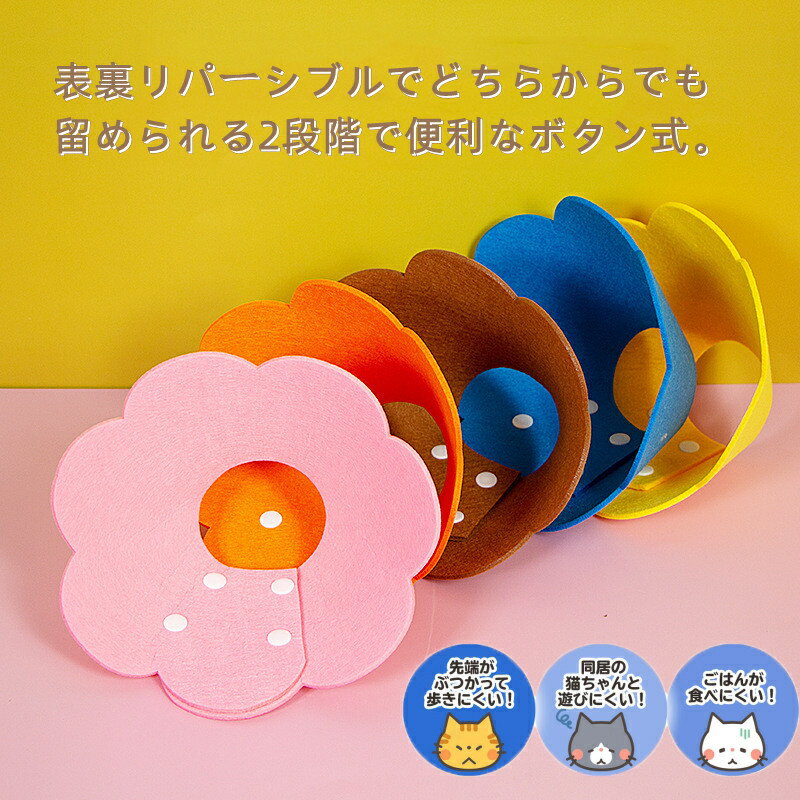 ���ꥶ�٥����顼 ��2�祻�åȡ� �ڥå� ǭ �� ���ե� ���餫 �ե���� �ե� ���ꥫ�� ���� �����ݸ� ���ȥ쥹�ڸ� ���顼 S M L �ե���ȥե����ꥫ�� 2����