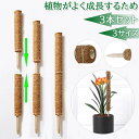 【送料無料】3本セット ココスティック モンステラ 支柱 ココナッツ おしゃれ 園芸支柱 ポトス 植物支柱 ガーデン 蔓 花ささえ 連結 延長 木製 ココナッツ...