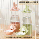 ウサギ 給水ボトル 小動物 兎 水飲み器 ウォーターボトル フェレット ロップイヤー 自動補水 安定拔群 こぼれ防止 600ml 送料無料