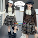韓国子供服 女の子 セットアップ 長袖Tシャツ+スカート 2点セット キッズ スカートセット 春着 秋着 発表会 記念日 イベント 誕生日 プレゼント ガールズ チェック柄 ティアードスカート オシャレ tシャツ 通学着 おでかけ 普段着 120 130 140 150 160 170