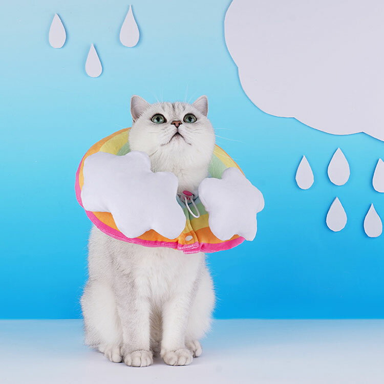 ���ꥶ�٥����顼 ���� ǭ �� �ڥå��Ѳ����� Ĵ����ǽ ���餫�� ���� �⤭�ط� ǭ���� ���ե� �ݸ���� ���� �ڥå��ݸ�� �ڥå����� ��ñ���� ��ǭŬ�� ��Ѹ� ���� �����ݸ� ���Ӥ��ɻ� �����ߤ��ɻ� �������� �Ѹ��� �볦���� �̵����ɤ� �İ��� ���� ����