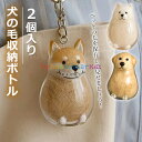 \6%OFFクーポン/ 透明 ペット 遺毛入れ ケース 2個入り 犬の毛収納ボトル 遺毛 ペット ペットメモリアルボトル 犬のキーホルダー 毛を保管するボトル ...