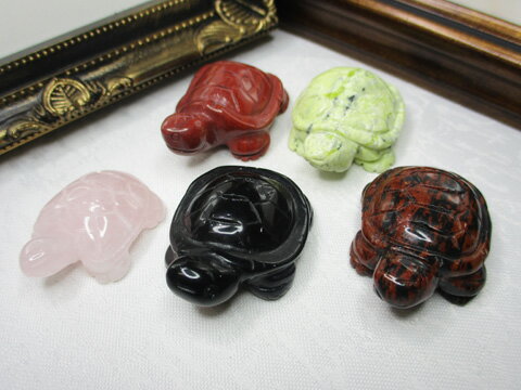 ۡں߸˽ʬŷСʪ5ĥå