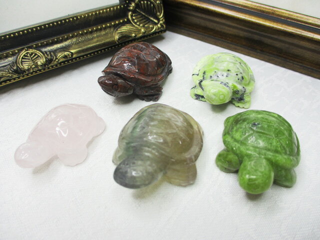 ۡں߸˽ʬŷСʪ5ĥå