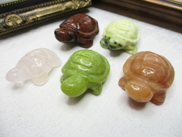 ۡں߸˽ʬŷСʪ5ĥå