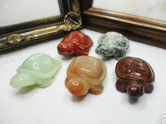 ۡں߸˽ʬŷСʪ5ĥå