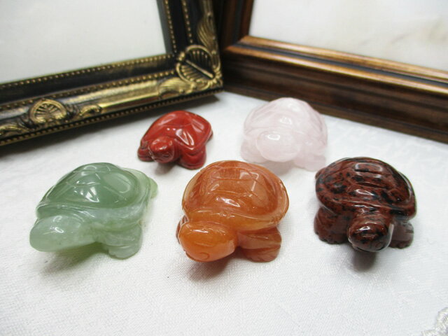 ۡں߸˽ʬŷСʪ5ĥå