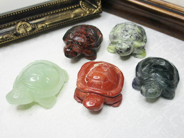 ۡں߸˽ʬŷСʪ5ĥå