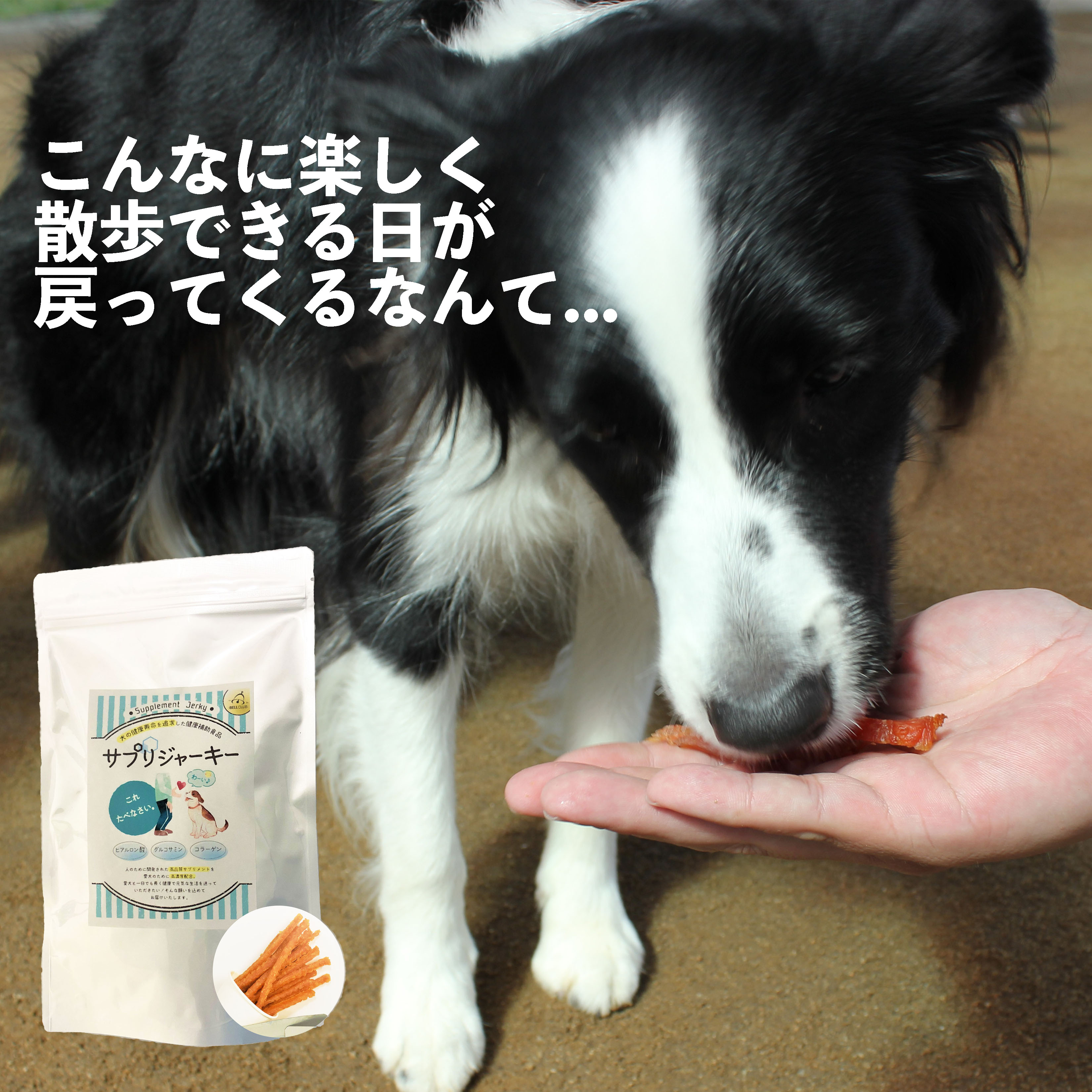 わんちゃんの”サプリジャーキー”これ、たべなさい ささみジャーキー サプリ 健康 皮膚 毛並み 関節 犬のおやつ 犬用サプリ サプリメント ジャーキー 九州産 鶏肉 犬用おやつ 犬おやつ ペットサプリ 犬 おやつ ペット 日本製 ドッグフード 送料無料のサムネイル
