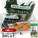 ベジフレッシュL 5個セット 冷蔵保存 フリーザーバッグ おすすめ 長持ち 食品ロス チャック付袋 ジッパー付 鮮度保持 食品保存袋 鮮度保持 鮮度保持袋 小分け袋 便利 お手軽 野菜 肉 果物 フルーツ 食品 冷凍 常温 節約 業務用 大容量 送料無料