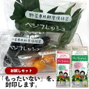 ベジフレッシュM&L お試しセット 冷蔵保存 フリーザーバッグ おすすめ 長持ち 食品ロス チャック付袋 ジッパー付 鮮度保持 食品保存袋 鮮度保持 鮮度保持袋 小分け袋 便利 お手軽 野菜 肉 果物 フルーツ 食品 冷凍 常温 節約 業務用 大容量 送料無料