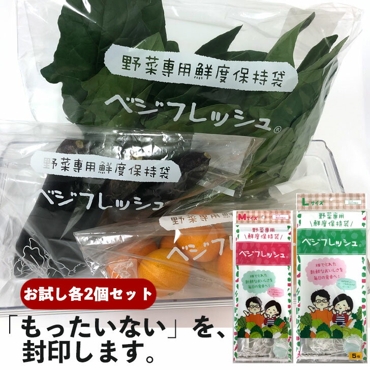 楽天お肉＆サラダ保管計画 楽天市場店ベジフレッシュM&L 各2個セット 冷蔵保存 フリーザーバッグ おすすめ 長持ち 食品ロス チャック付袋 ジッパー付 鮮度保持 食品保存袋 鮮度保持 鮮度保持袋 小分け袋 便利 お手軽 野菜 肉 果物 フルーツ 食品 冷凍 常温 節約 業務用 大容量 送料無料