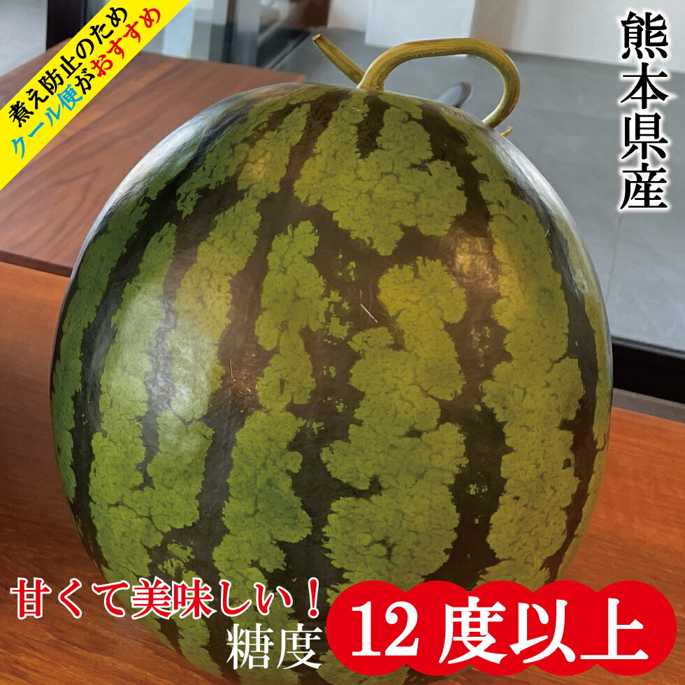 スイカ 熊本 甘い 大玉 果物 高糖度 フルーツ ギフト 人気商品 お供え 敬老の日 お中元 糖度1 ...