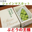 シャインマスカット 化粧箱 果物 お中元 お盆 お彼岸 お供え 期間限定 敬老の日 数量限定 産地直送 甘い 人気商品 フルーツギフト 果物ギフト 送料無料
