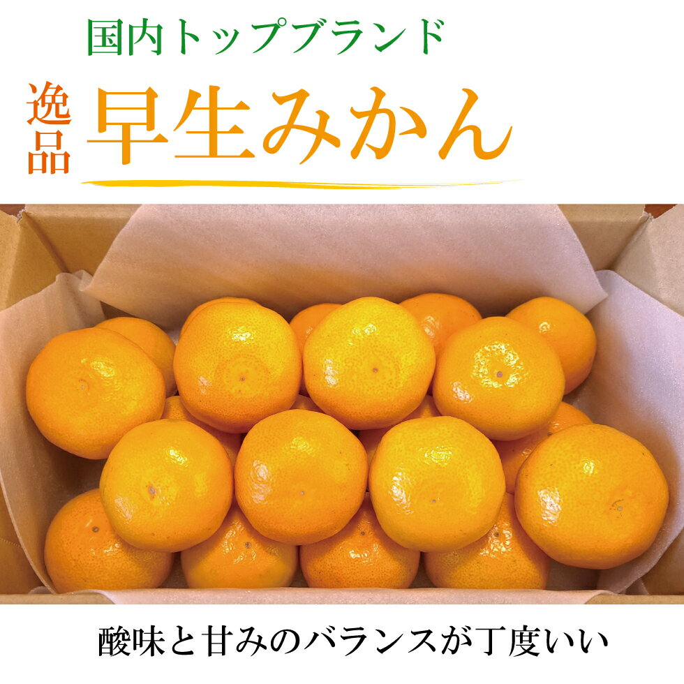 【早生みかん】爽やかな香りで美味しい！人気の早生みかんのおすすめは？