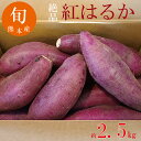 紅はるか さつま芋 約2.5キロ入 期間限定 数量限定 産地直送 甘い 人気商品 焼き芋 熊本産 