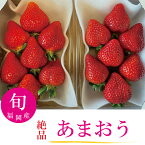 あまおう 絶品いちご いちごの王様 期間限定 数量限定 産地直送 甘い 人気商品 フルーツギフト 果物ギフト 福岡産 クール便 【送料無料】