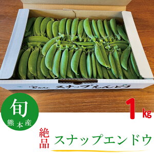 スナップエンドウ 目利きのプロが選ぶ美味しい野菜 美味しい 1キロ入 期間限定 数量限定 産地直送 甘い 人気商品 熊本産 【送料無料】