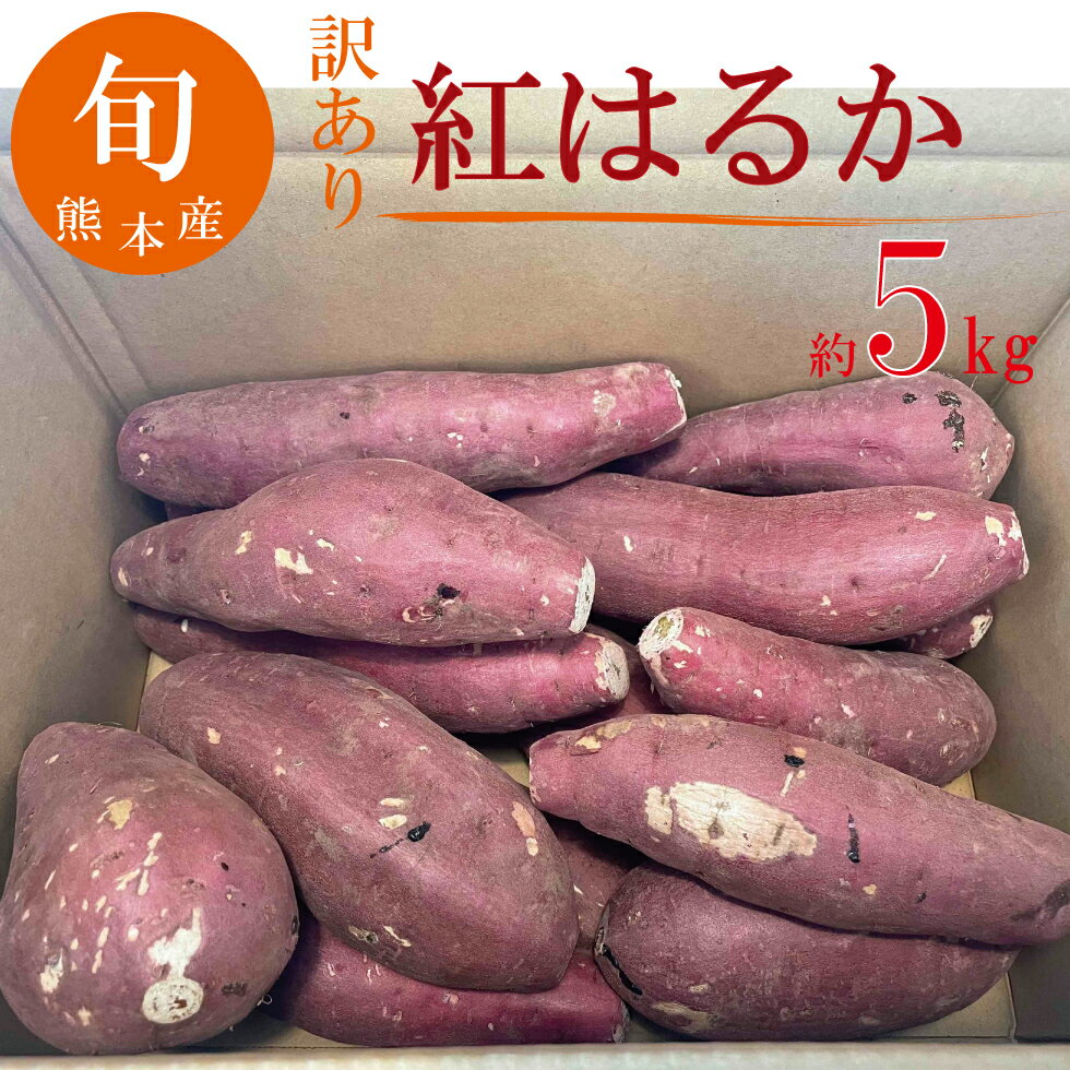 全国お取り寄せグルメ熊本野菜・きのこNo.15