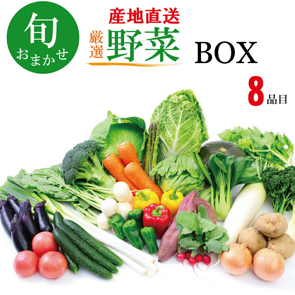 野菜セット 野菜 詰め合わせ 野菜BOX 旬 厳選 ギフト お中元 敬老の日 食材 新鮮 産地直送 人気商品 九..