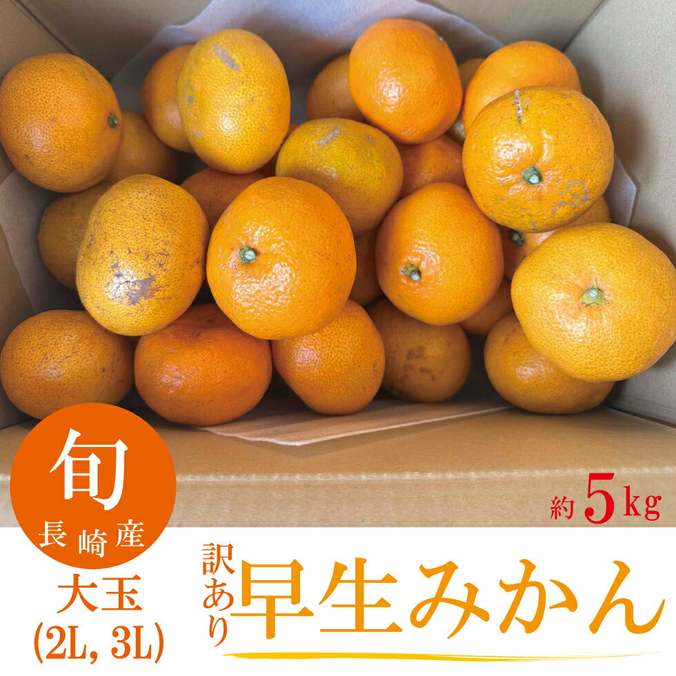 訳あり早生みかん 西海みかん 約5キロ入 大玉 2L 3Lお年賀 期間限定 数量限定 産地直送 甘い 人気商品 フルーツギフト 果物ギフト 長崎産 【送料無料】