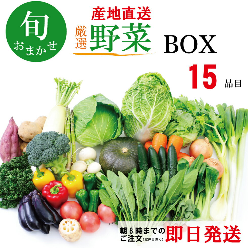 野菜セット 野菜 詰め合わせ 野菜BOX 旬 厳選 ギフト お中元 敬老の日 食材 新鮮 産地直送 人気商品 九..