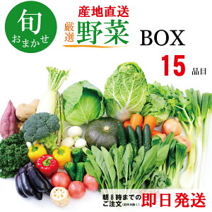 野菜セット 野菜 詰め合わせ 野菜BOX 旬 厳選 ギフト お中元 敬老の日 食材 新鮮 産地直送 人気商品 九州産 国産 お取り寄せ グルメ 季節 15品 野菜詰合わせ おまかせ 送料無料