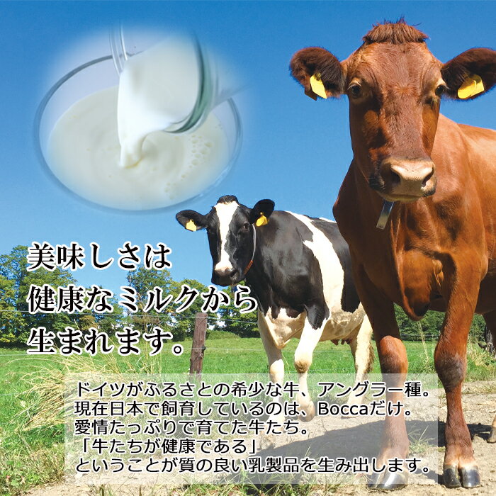 �������� BOCCA �ҲȤΰ���衼����ȡ���å���8�ܥ��åȡ�K�� �̳�ƻ ������ �ץ�� ����衼����� ��å��� ������ ������ ������ ���ե� ��ľ