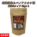 北海道産 カバノアナタケ茶 チャーガ茶 カバタケ茶 極粉末45g 天然 カバノアナタケ 100%使用 ティーバッグ付き 国産 無添加 えぞボタニカル 送料無料 メール便でお届け チャガ茶 樺孔茸茶 健康茶 キノコ茶