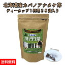 北海道産 カバノアナタケ茶 チャーガ茶 カバタケ茶 ティーカップ用 ティーバッグ28包 天然 カバノアナタケ 100%使用 国産 無添加 えぞボタニカル 送料無料 メール便でお届け チャガ茶 樺孔茸茶 健康茶 キノコ茶