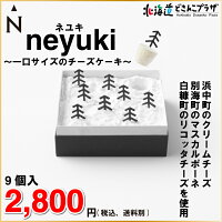 【メーカーより直送】「neyuki〜一口サイズのチーズケーキ〜」北海道送料込お菓子チーズケーキギフト贈り物お歳暮クリスマス