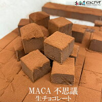 産地出荷「MACA不思議生チョコレート2個セット」冷蔵送料込北海道菓子マカ健康サプリ栄養