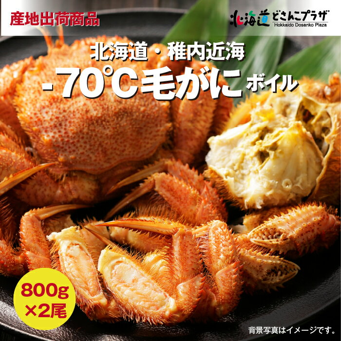 産地出荷 「-70℃ 毛がに (ボイル）2尾　800g×2」冷凍 送料込 父の日 かに ボイル蟹 毛ガニ カニ 北海道グルメ 冷凍蟹 蟹 おいしい パーティー 海鮮 北海道産 毛蟹 北海道 ギフト プレゼント お土産 贈り物