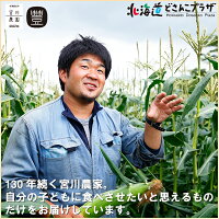 北海道とうきび(とうもろこし)
