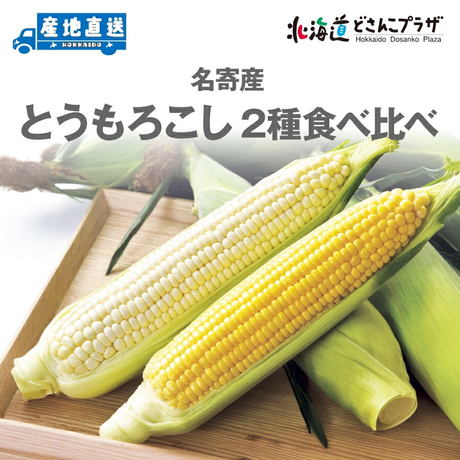 産地出荷「名寄産とうもろこし2種食べ比べ」冷蔵 送料込 7/31まで販売 北海道 名寄市 とうきび トウモロコシ コーン